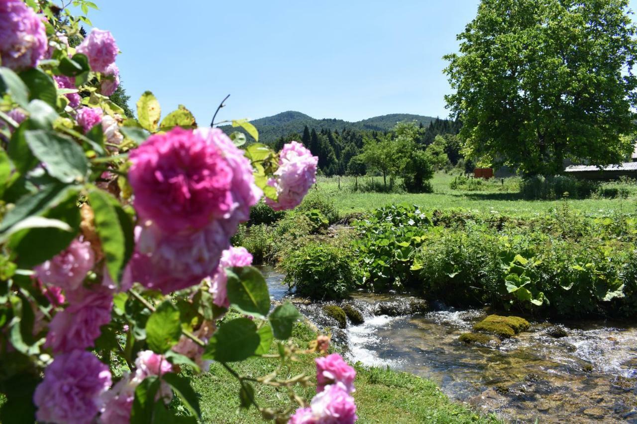 Plitvice Panta Rei Pensionat Plitvička Jezera Eksteriør billede