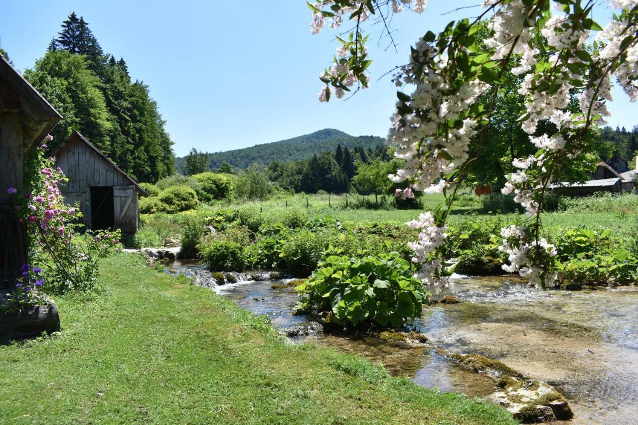 Plitvice Panta Rei Pensionat Plitvička Jezera Eksteriør billede