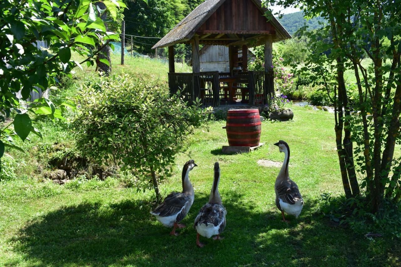 Plitvice Panta Rei Pensionat Plitvička Jezera Eksteriør billede