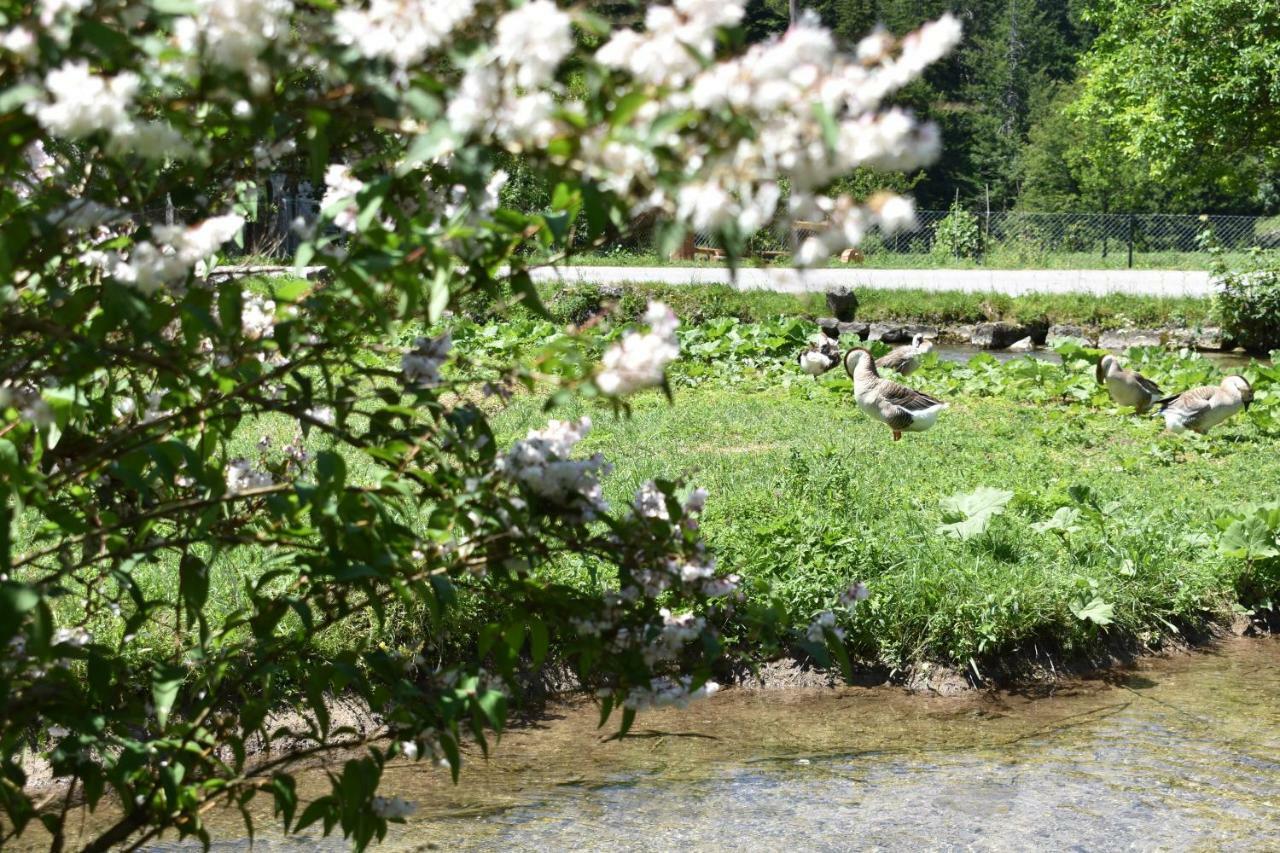 Plitvice Panta Rei Pensionat Plitvička Jezera Eksteriør billede