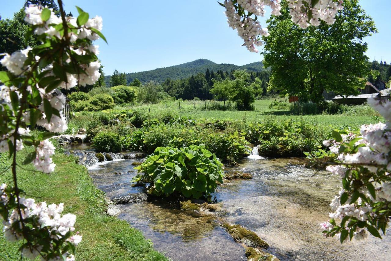 Plitvice Panta Rei Pensionat Plitvička Jezera Eksteriør billede