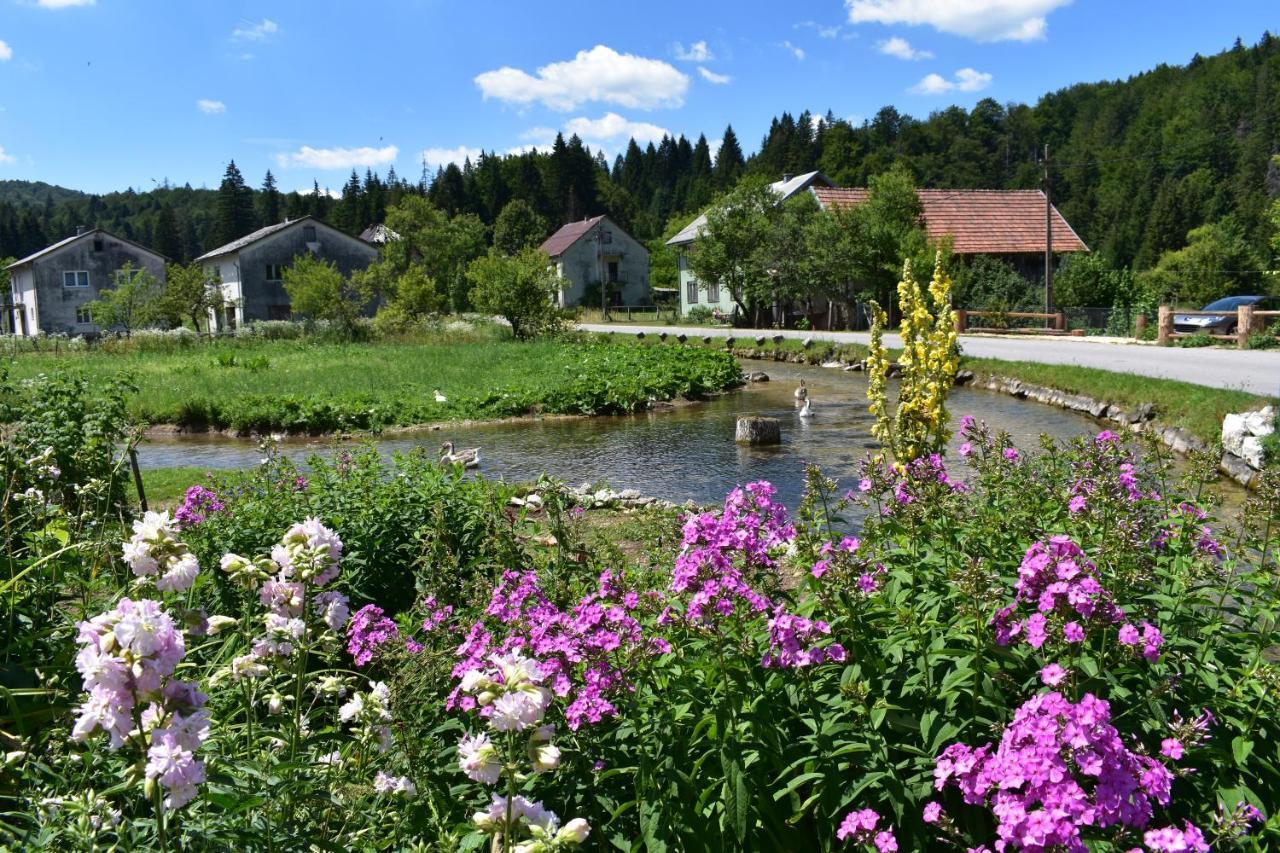 Plitvice Panta Rei Pensionat Plitvička Jezera Eksteriør billede